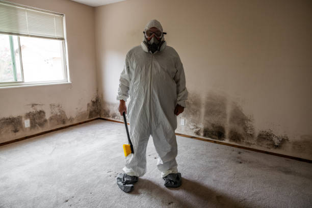 Best Crawl Space Mold Remediation  in Midway, FL
